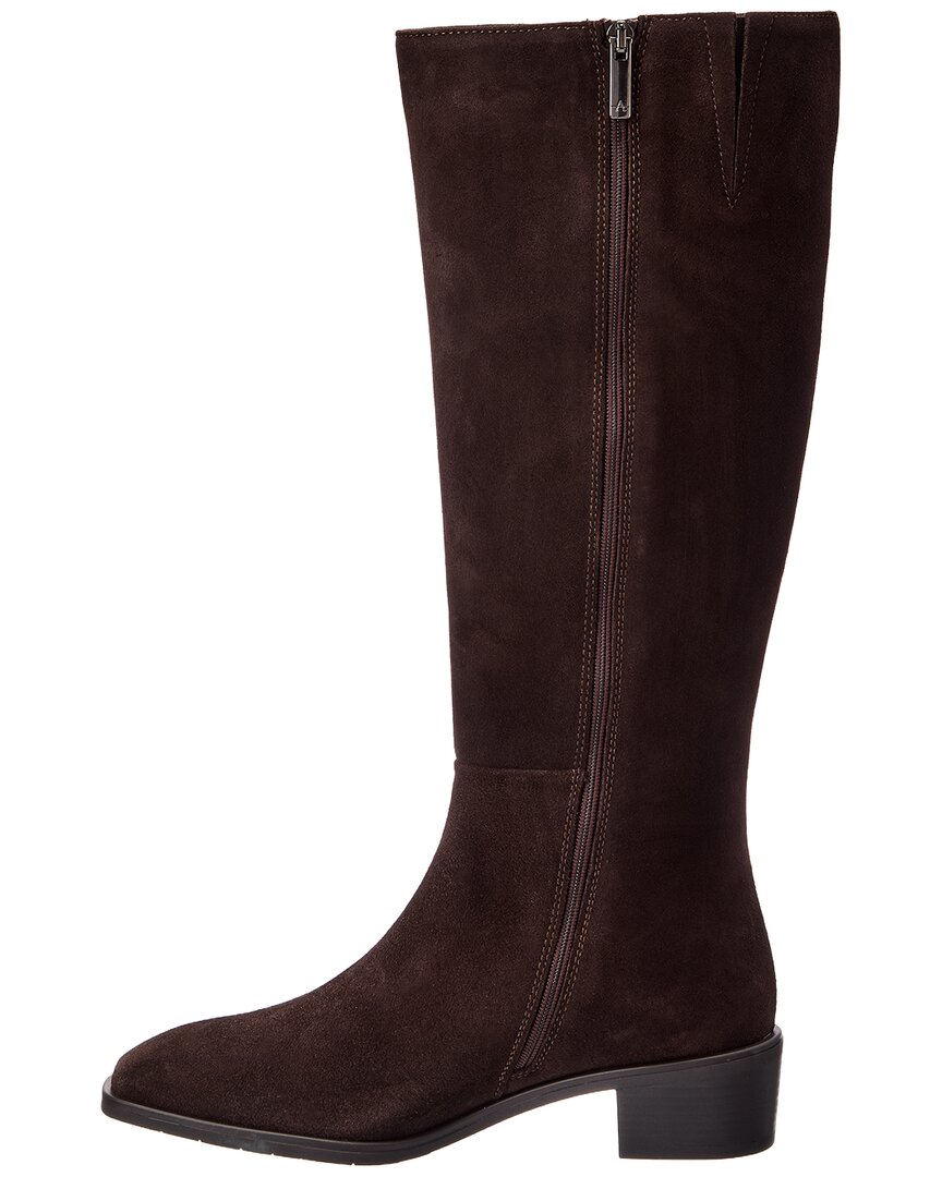 Espresso Suede-