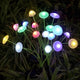 Colorful Light