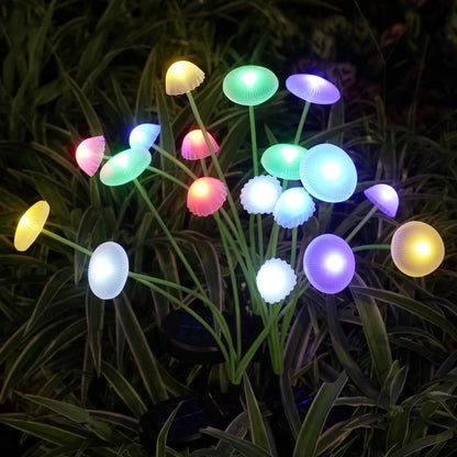 Colorful Light-