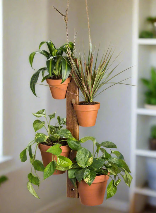 Kalmar Home 6 Pot Hanging Plant Holder - 3 Piece Set