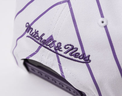 Mitchell & Ness Men's NBA Retro Pinstripe Snapback Hwc Raptors Snapback Caps