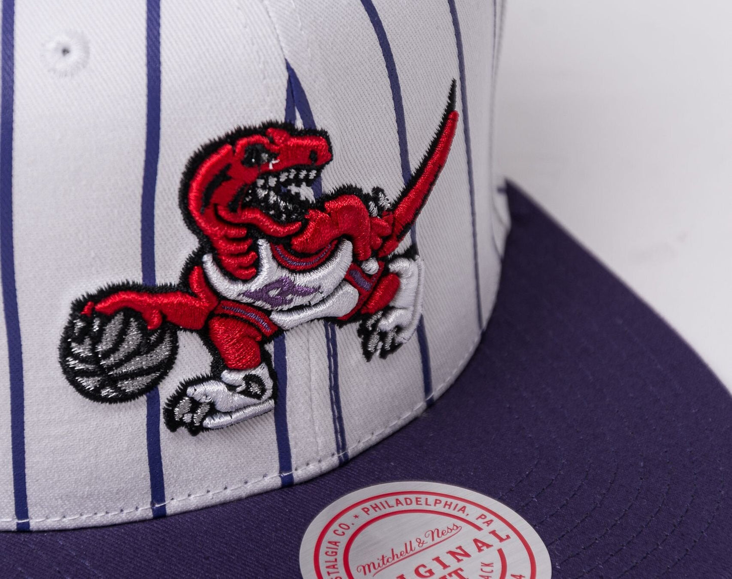 Mitchell & Ness Men's NBA Retro Pinstripe Snapback Hwc Raptors Snapback Caps