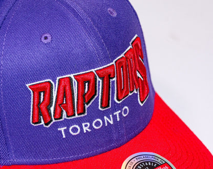 Mitchell & Ness Men's NBA Shredder Stretch Snapback Hwc Raptors Snapback Caps