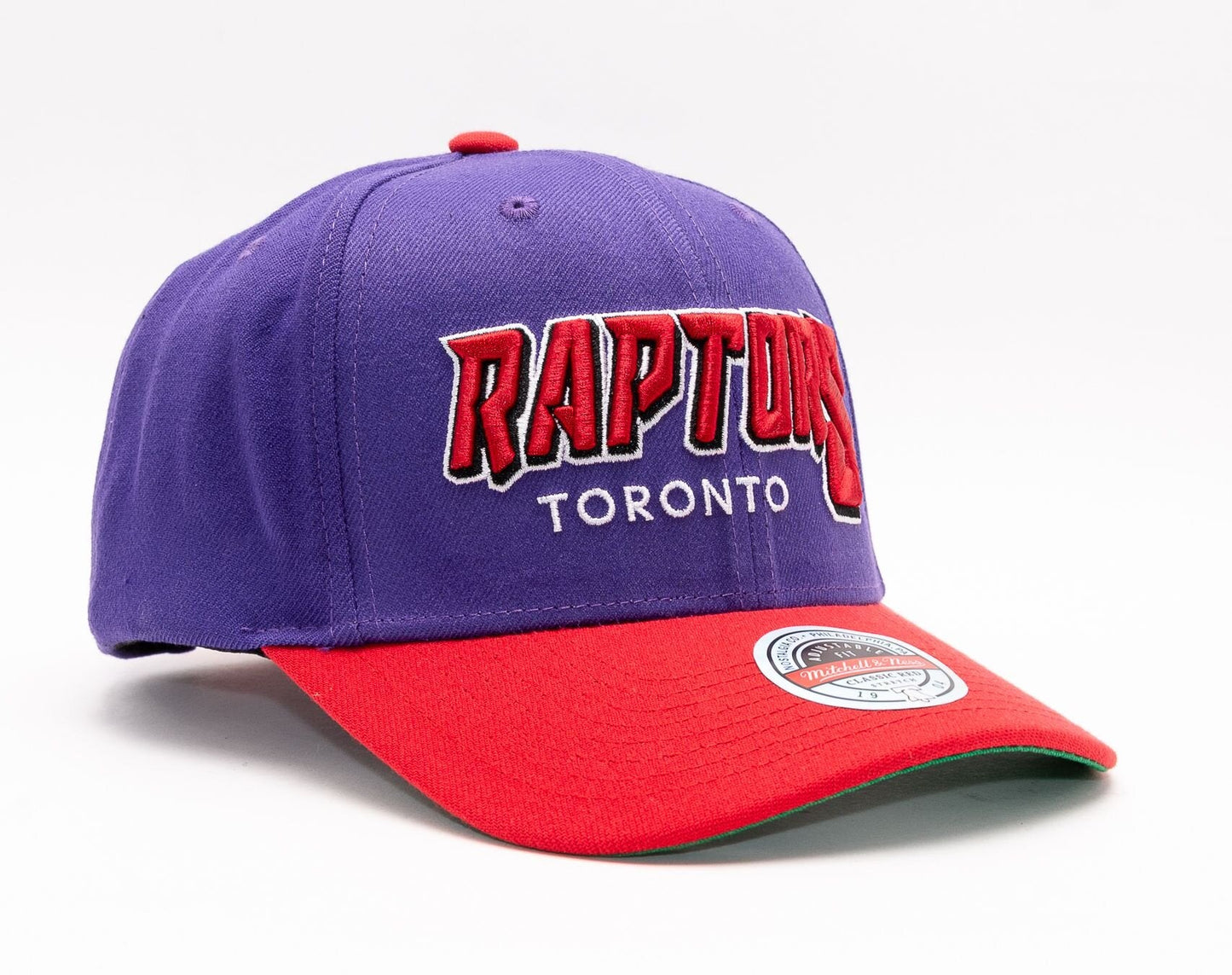 Men's Mitchell & Ness NBA Shredder Stretch Snapback Hwc Raptors - Purple