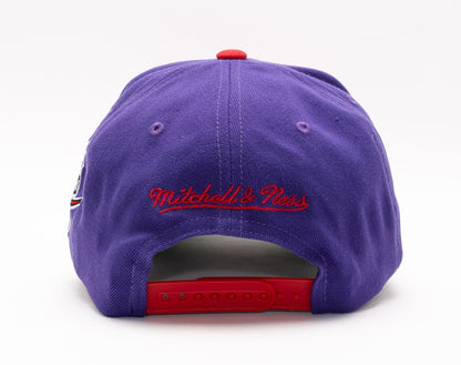 Mitchell & Ness Men's NBA Shredder Stretch Snapback Hwc Raptors Snapback Caps