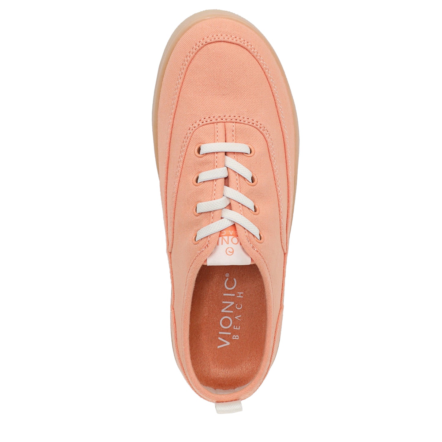 Shell Coral-