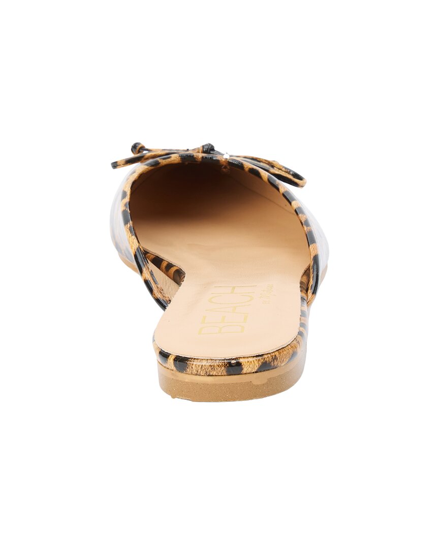 Leopard-