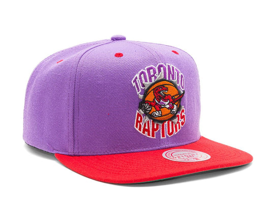 Men's Mitchell & Ness NBA Breakthrough Snapback Hwc Raptors - Purple