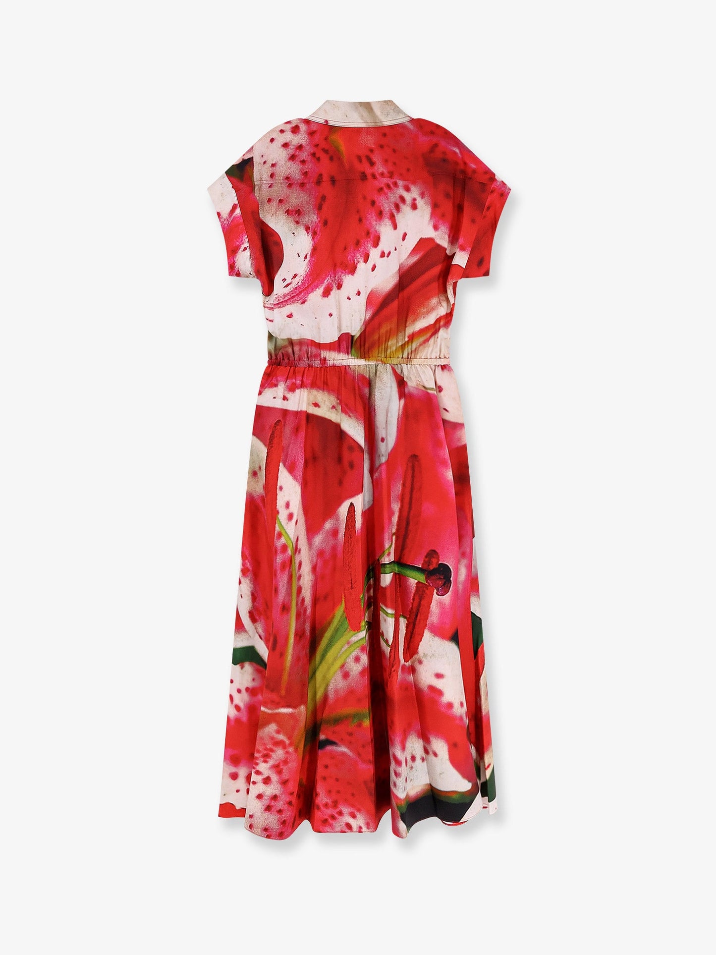Silk Chemisier Dress