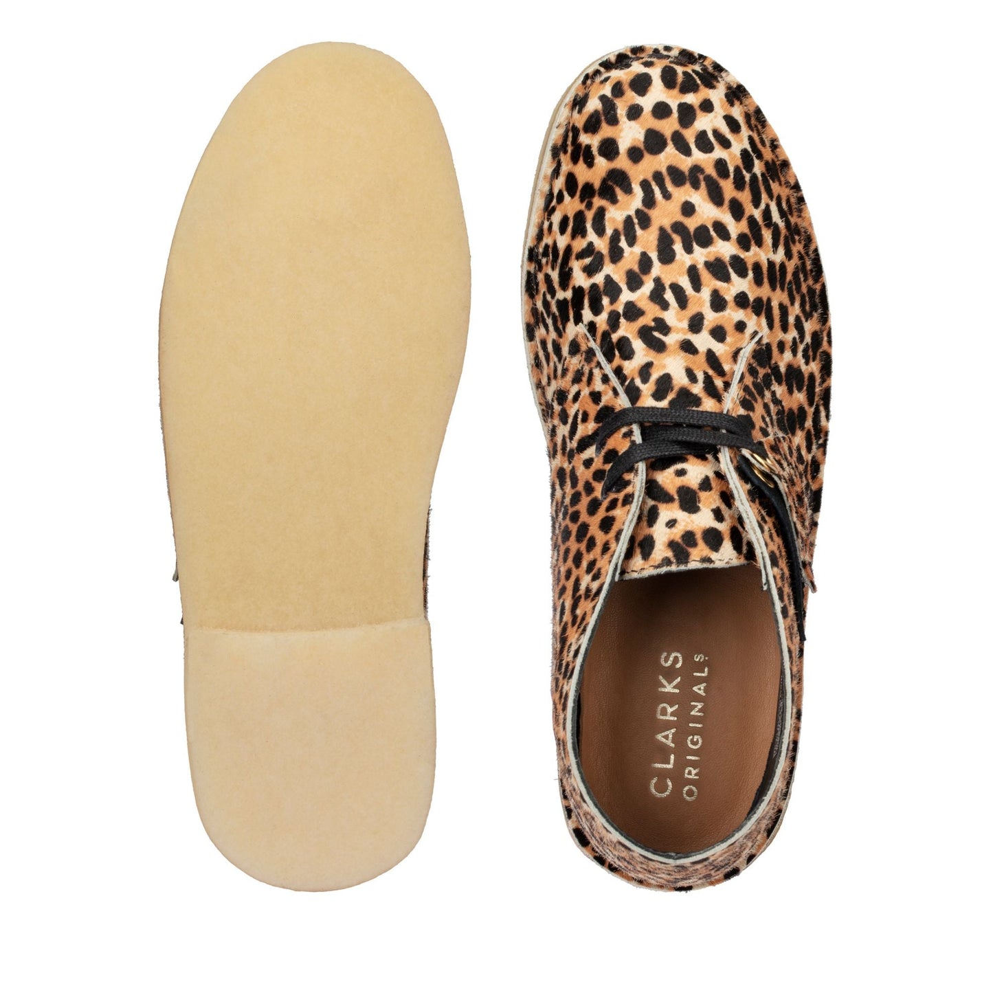 Leopard Prt Pony-