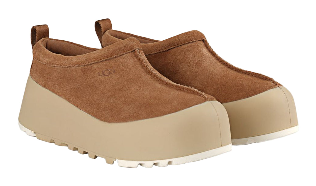 Chestnut / Mustard Seed-