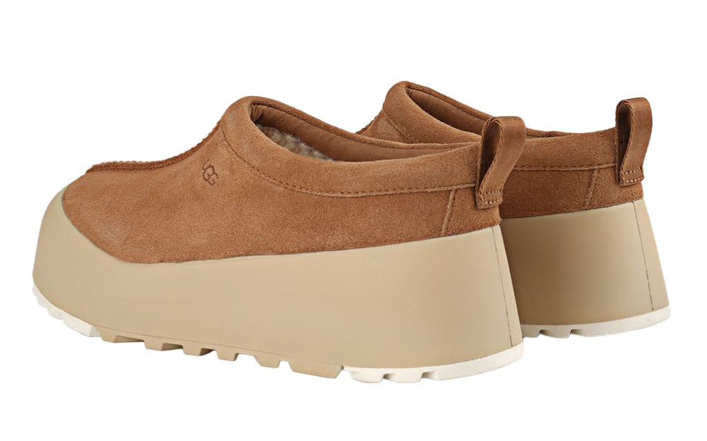 Chestnut / Mustard Seed-