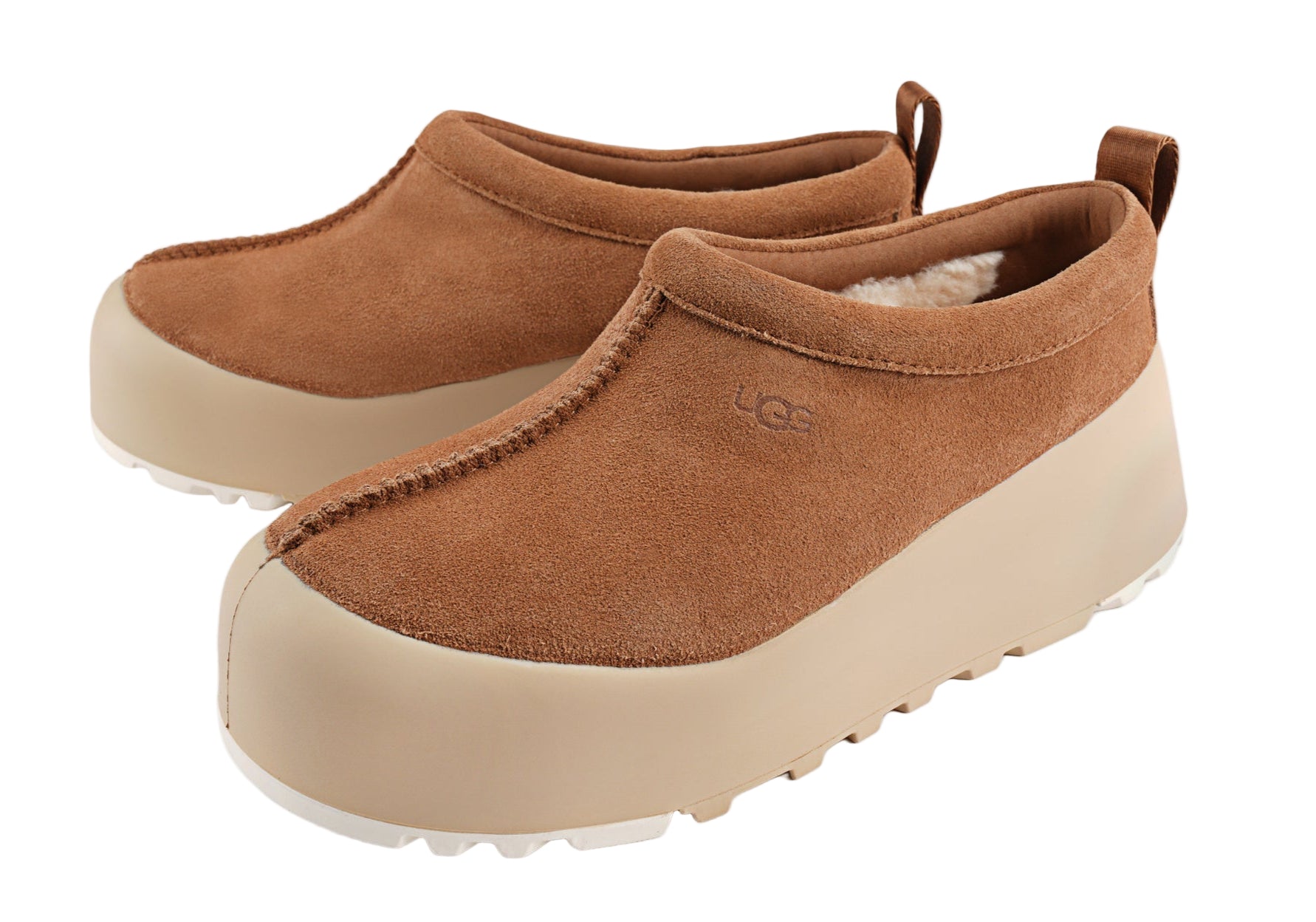 Chestnut / Mustard Seed-