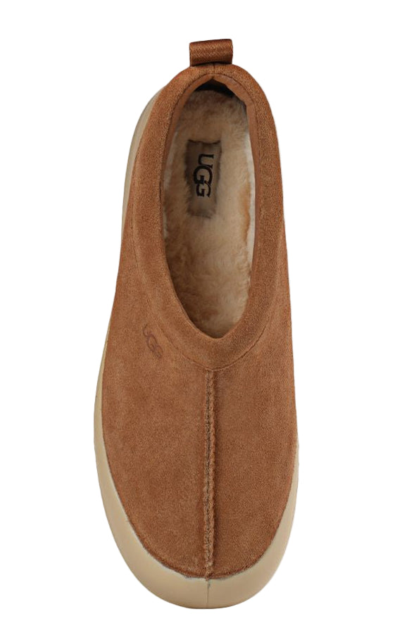 Chestnut / Mustard Seed-