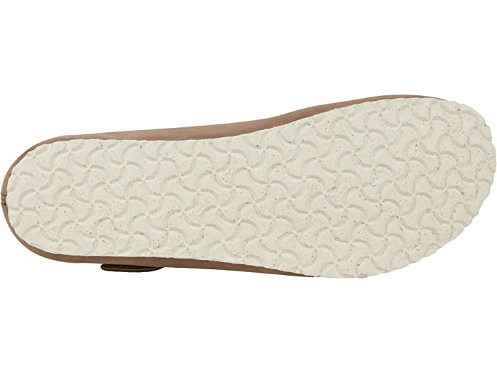Gray Taupe-