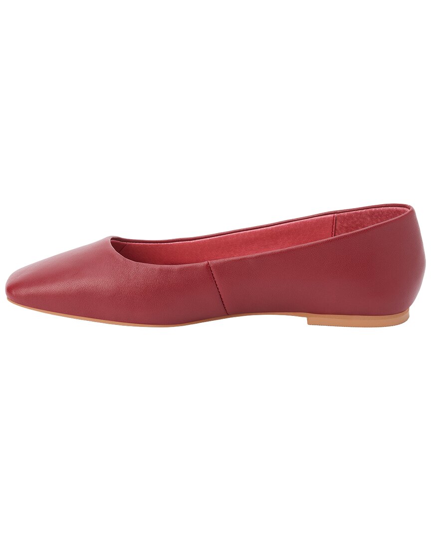 Burgundy-