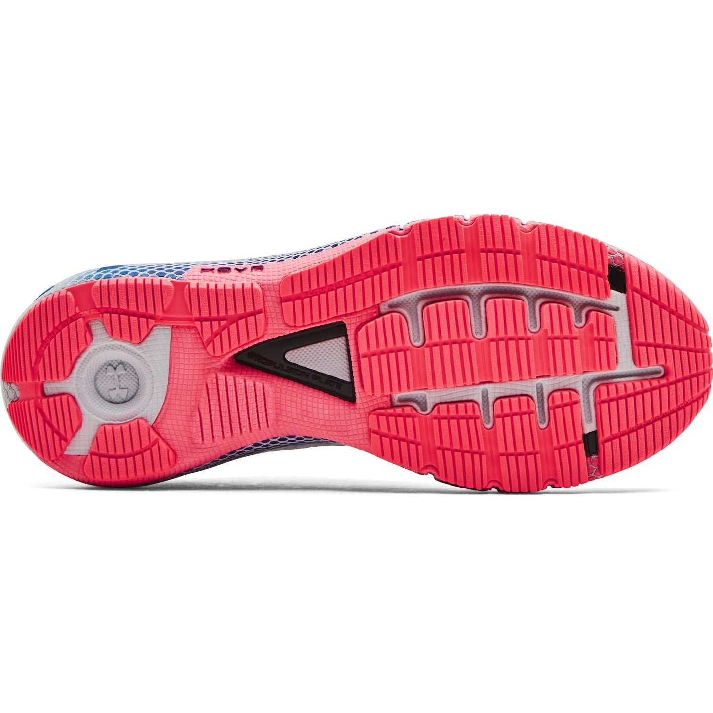 Halo Gray-Cerise-Royal-