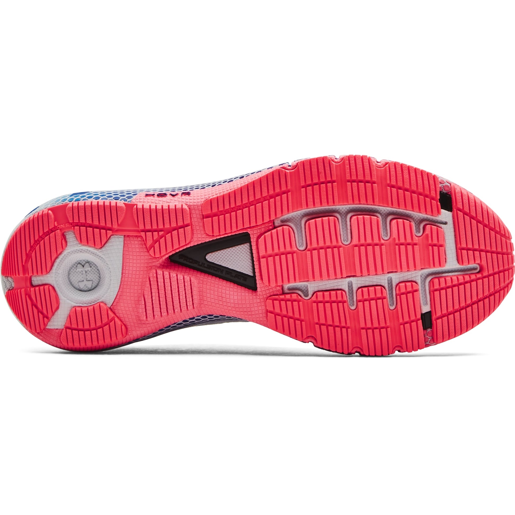 Halo Gray-Cerise-Royal-