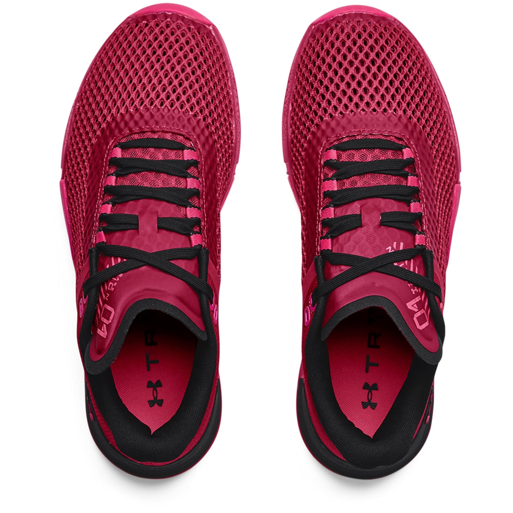 Black Rose-Black-Penta Pink-