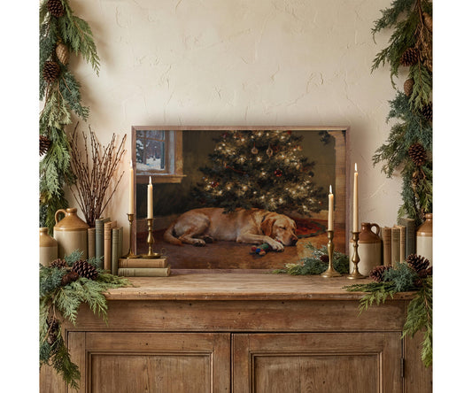 Kendrick Home Lab Under The Christmas Tree