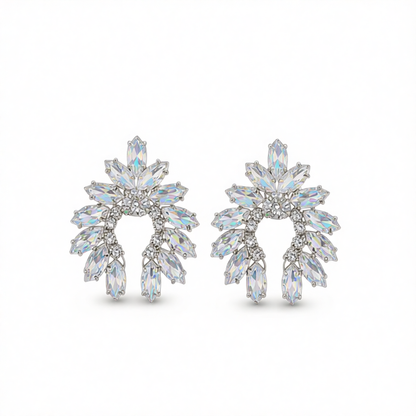 Crystal & Cubic Zirconia Curved Stud Earrings