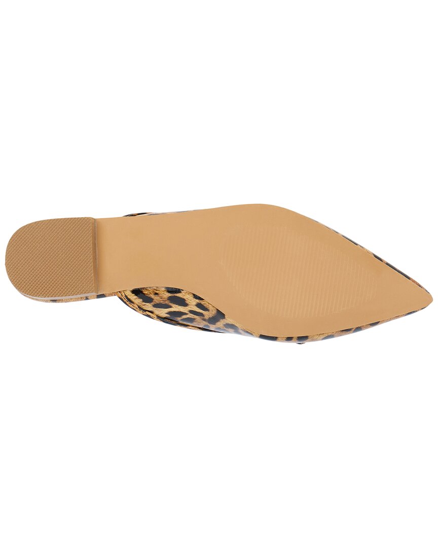 Leopard-
