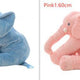 Pink1 and Blue1