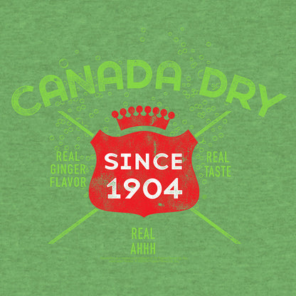 Vintage Faded Canada Dry Ginger Ale T-Shirt - Heather Kelly Green