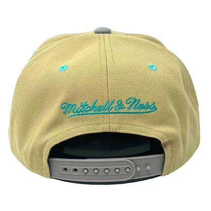 Mitchell & Ness Men's NBA Classic Canvas Snapback Hwc Grizzlies Snapback Caps