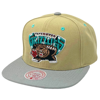 Mitchell & Ness Men's NBA Classic Canvas Snapback Hwc Grizzlies Snapback Caps