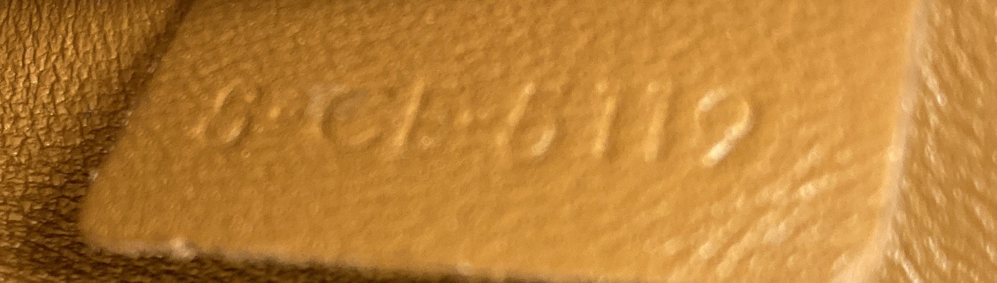 Celine Triomphe Shoulder Bag Triomphe Coated Canvas Nano