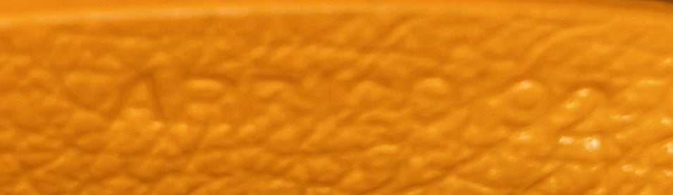 Saigon Top Handle Bag Coated Canvas with Leather Mini
