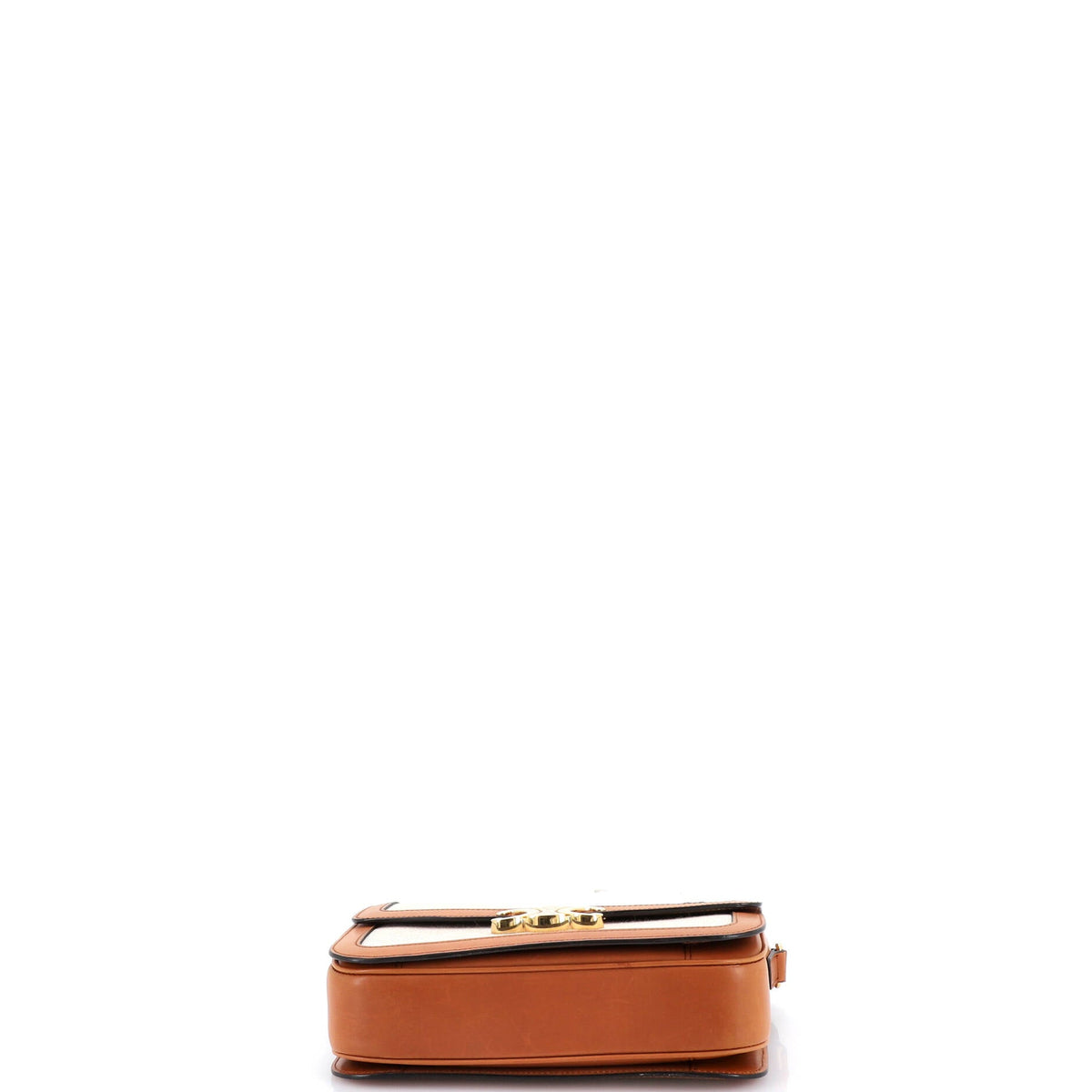 Triomphe Shoulder Bag Canvas with Leather Medium
