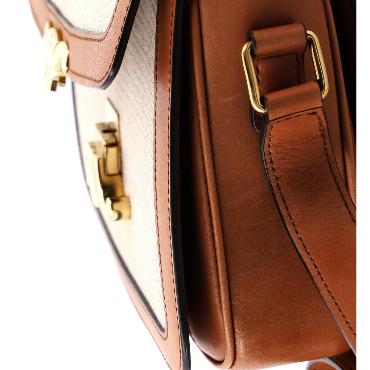 Triomphe Shoulder Bag Canvas with Leather Medium
