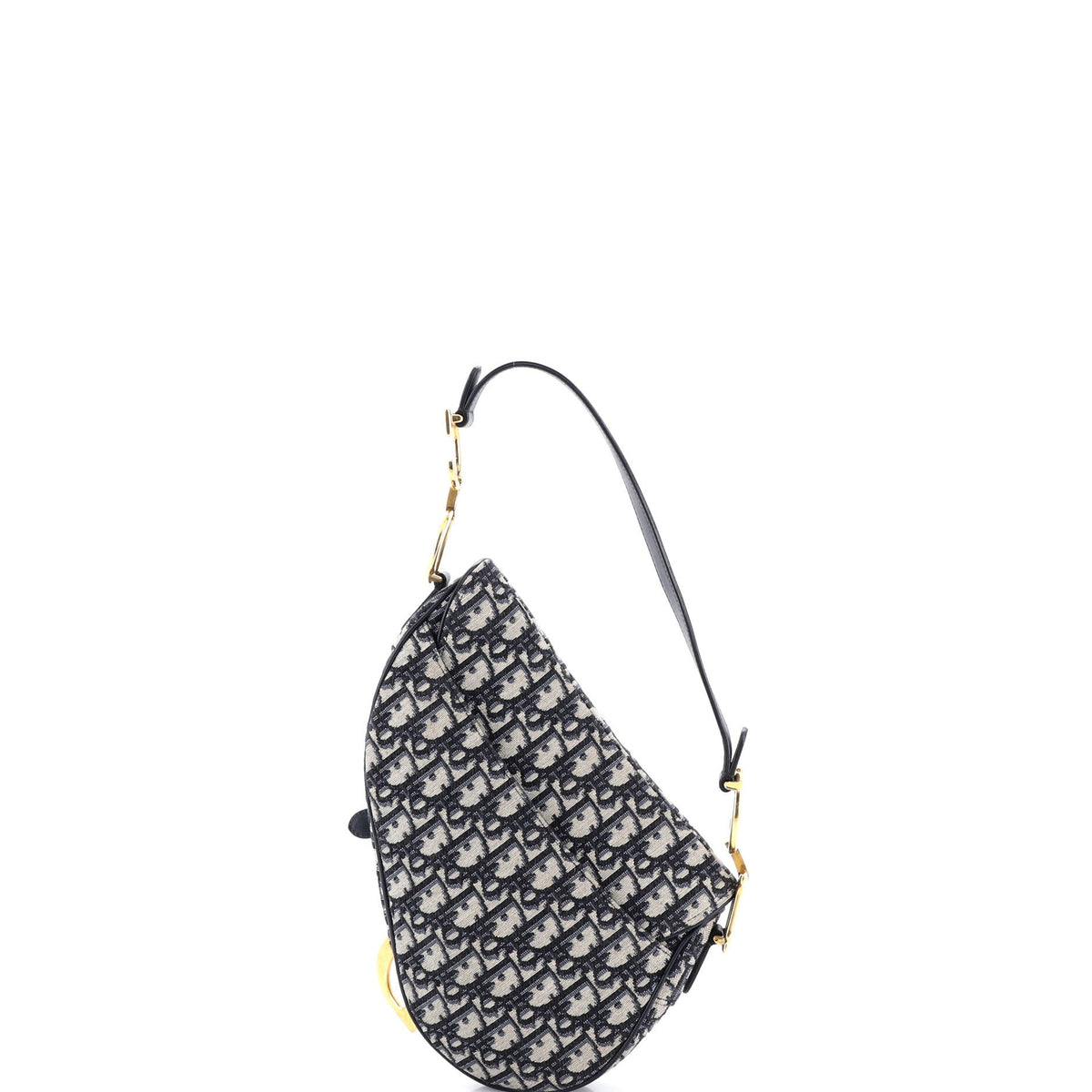 Saddle Handbag Oblique Canvas Medium