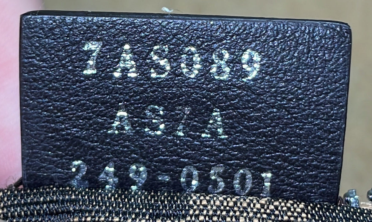 Fendigraphy Bag Leather Nano