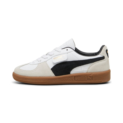 Puma Grade School Palermo