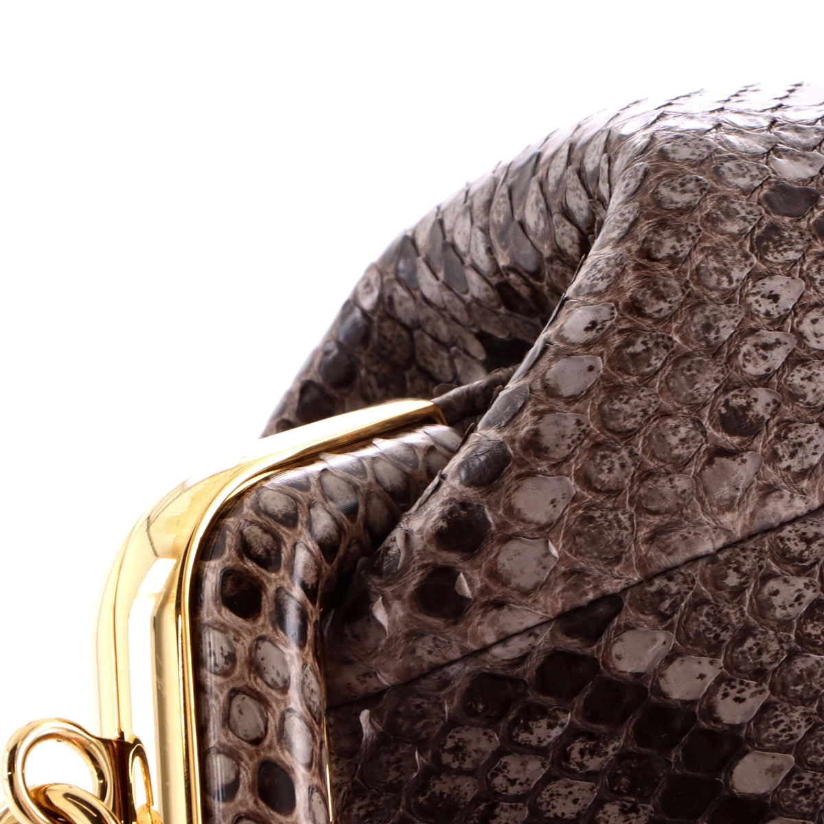 First Bag Python Small