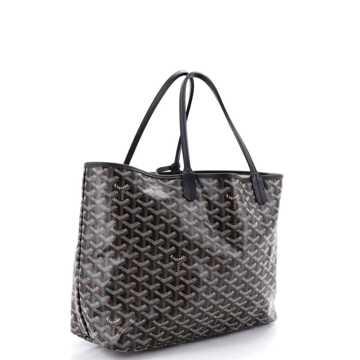 Saint Louis Tote Coated Canvas PM