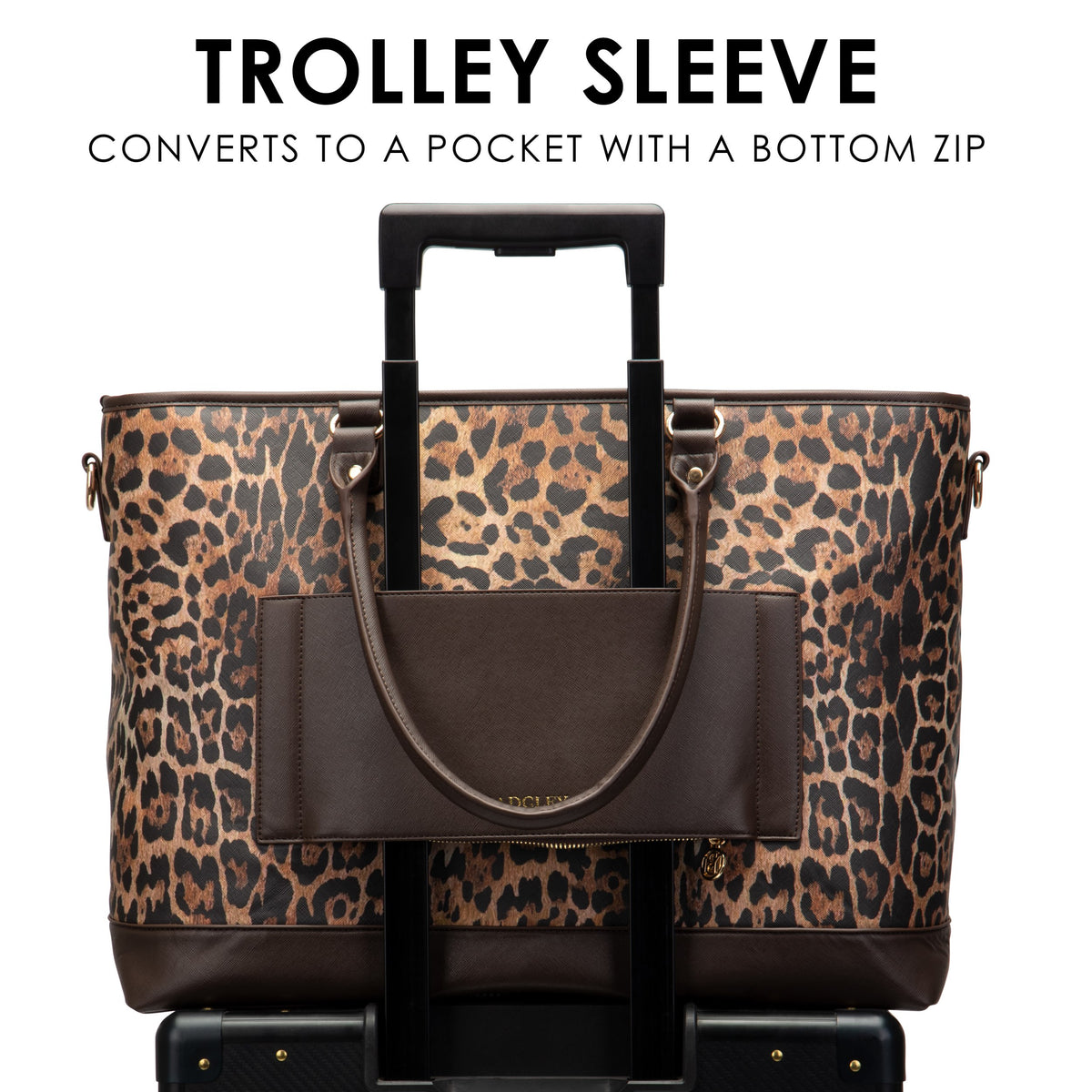 Leopard-