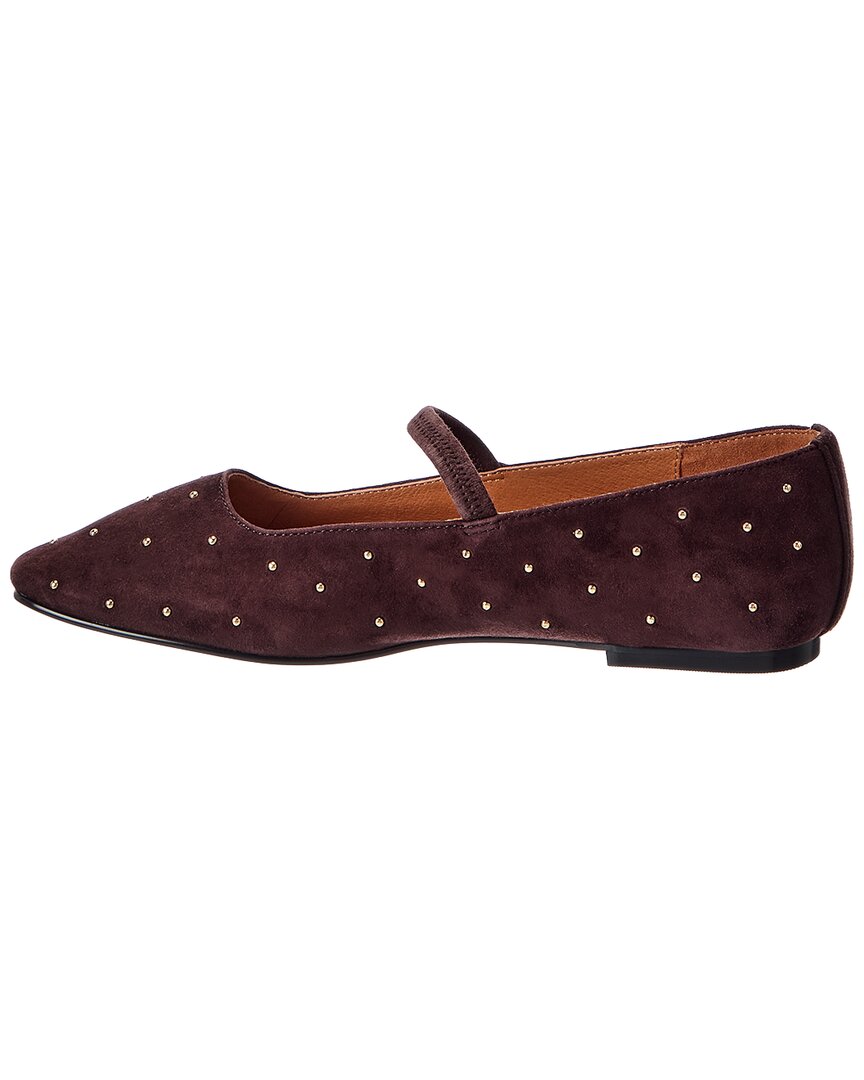 BR6956-CHOCOLATE RAISIN-
