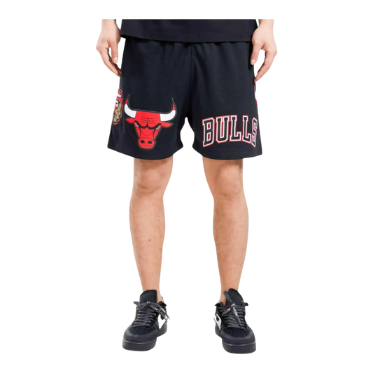 Pro Standard NBA Chicago Bulls Logo Men Mesh Shorts Black