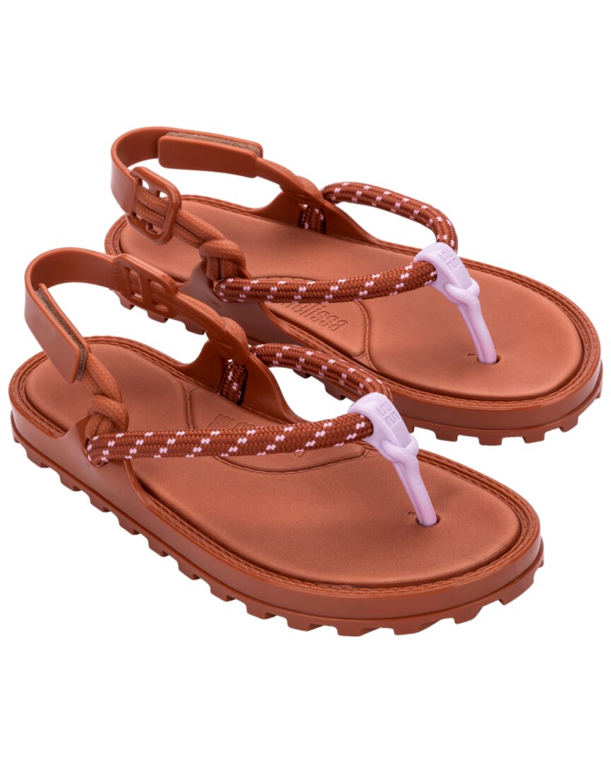 BROWN/LILAC-