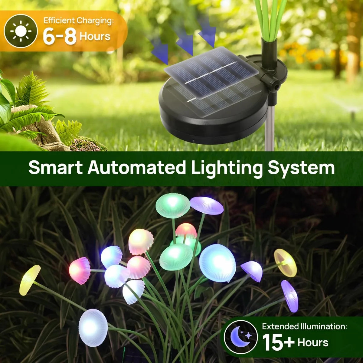 Colorful Light-
