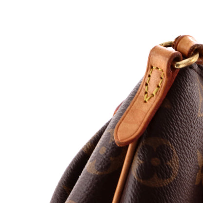 Turenne Handbag Monogram Canvas Nano