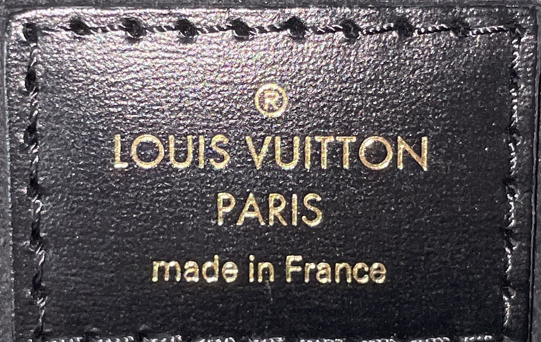 Vanity Handbag Reverse Monogram Canvas PM