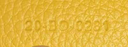 Lingot Bag Oblique Canvas 26