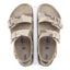 desert soil gray/taupe