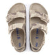 desert soil gray/taupe
