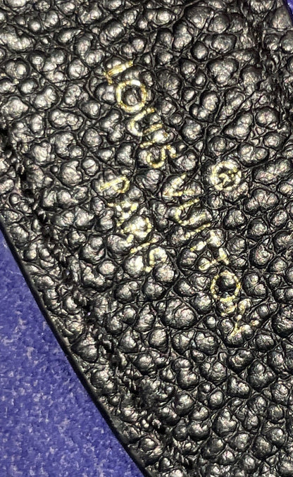 Diane NM Handbag Monogram Empreinte Giant
